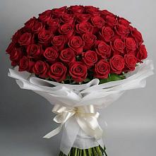 Букет 101 Красная роза Блэк Мэджик в Окуловке