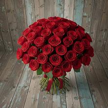 Букет 55 Красных роз Фридом #REPLACE_PRED# Окуловке