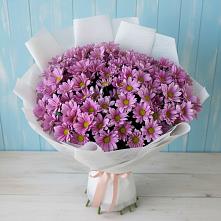 Букет цветов из:  Хризантемы в Окуловке