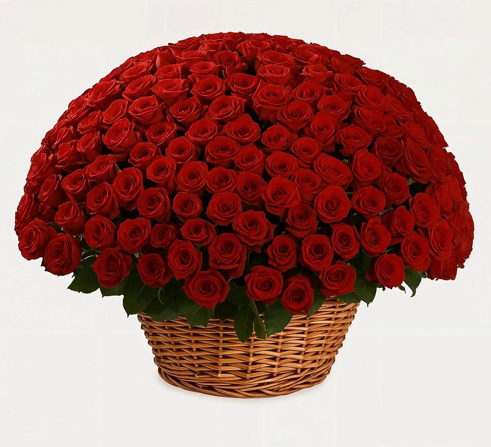 Премиум букет из: Розы в Окуловке