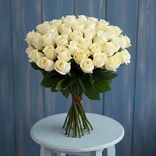 Букет 51 Белая роза Эдлесс Лав #REPLACE_PRED# Окуловке