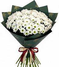 Букет цветов из:  Хризантемы в Окуловке