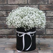Цветочная композиция из Гипсофила в шляпной коробке в Окуловке