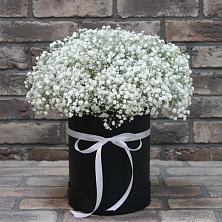 Цветочная композиция из Гипсофила в шляпной коробке в Окуловке